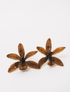Aretes Ada Chocolate | Aretes con Orquídeas Preservadas