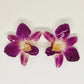Aretes Selva | Aretes Diseño Exclusivo con Inspiración Natural