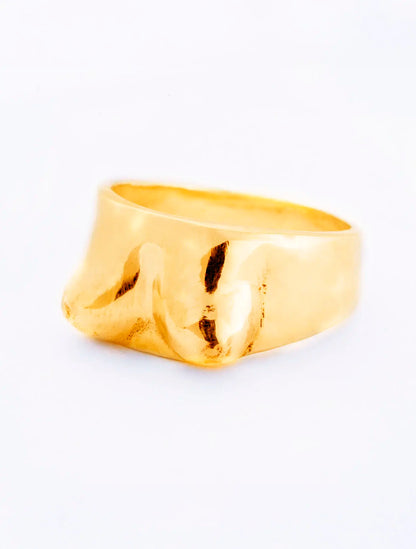 ANILLO BOOBS