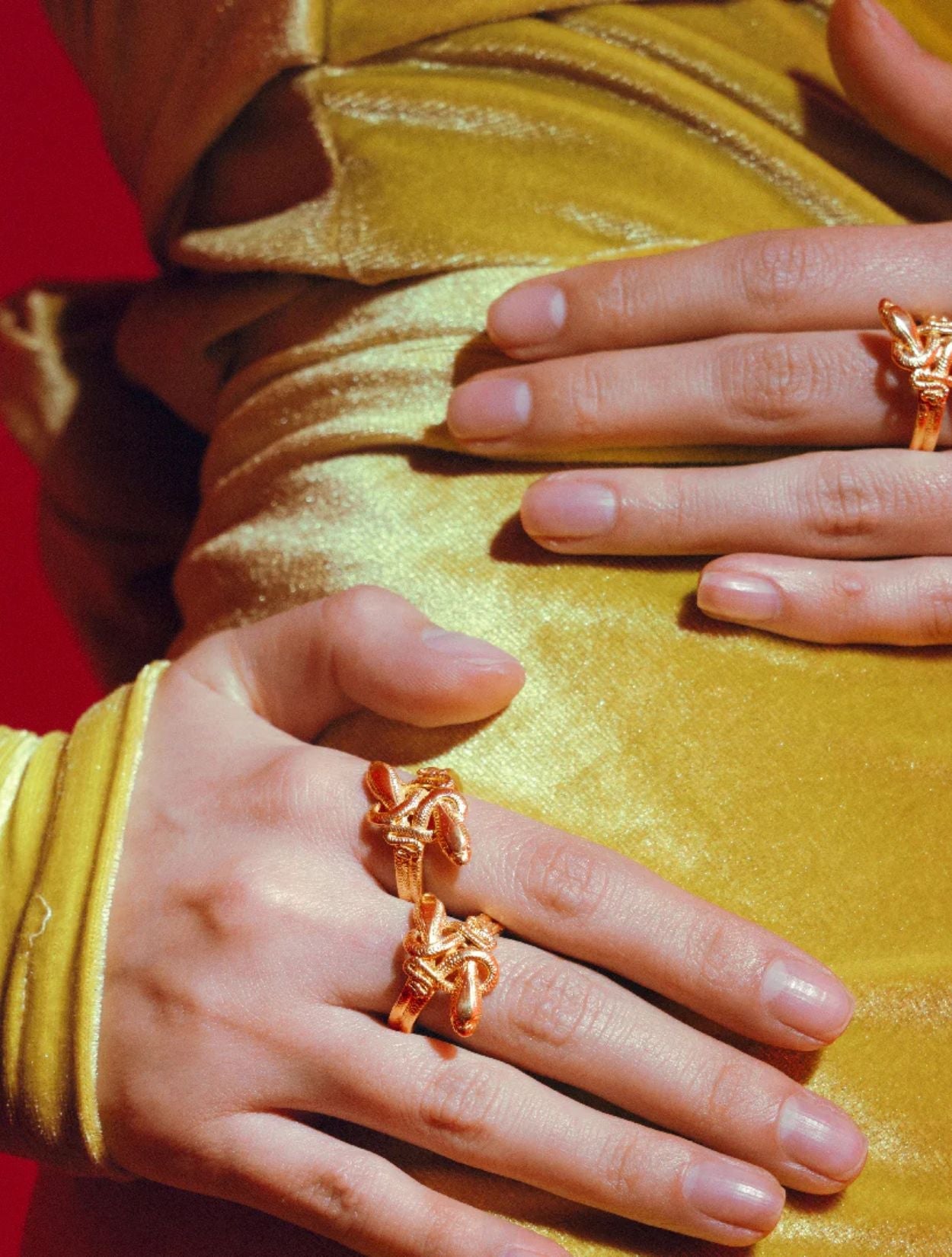 ANILLO ENJAMBRE SERPIENTE