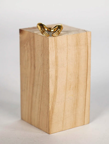 ANILLO MANOS