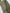 Chaqueta tipo parka verde militar con bordado Fuego para mujer – Juliana Sanchez | Casa Precis, Concept Store. Tercer plano.