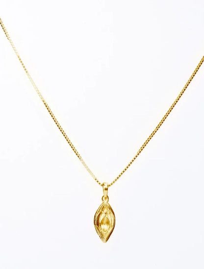 COLLAR VULVA