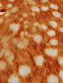 Mantel Decorativo | Mycelium CIRCE