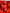 Fire Pant o Bermuda | Drill 100% Algodón