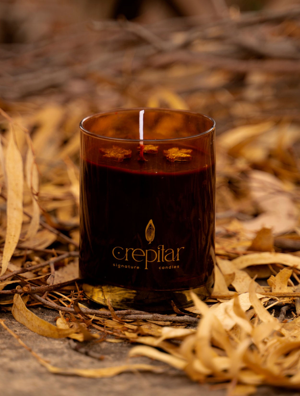 VELA SOL DE LOS VENADOS