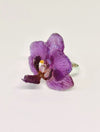 Anillo Savia | Joyería Botánica de Ta Fleur Boutique