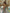 Bikini de dos piezas Estampillas Green con lazos ajustables de la marca Flor Amazona con estampado gráfico de timbres postales sobre fondo verde – Vestido de baño de lujo hecho en Colombia | Casa Precis, Concept Store