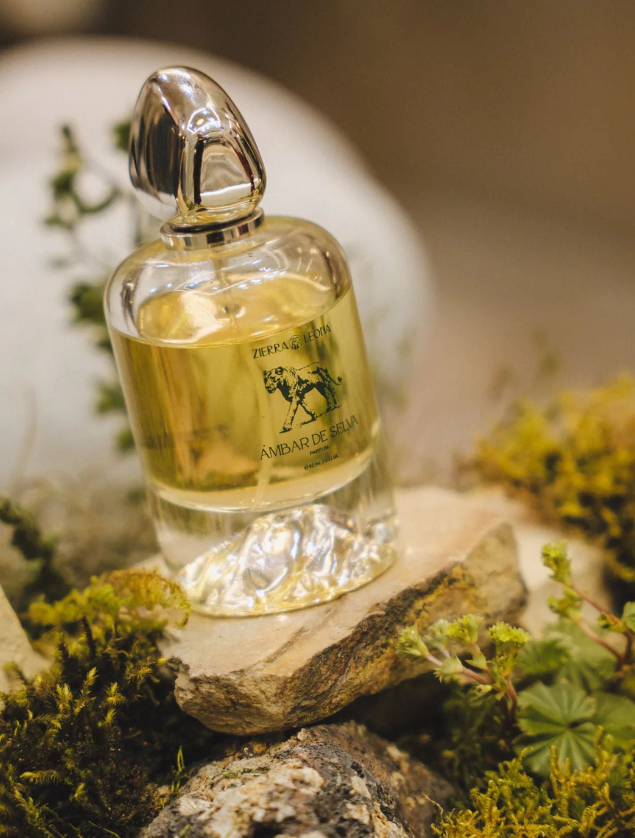 Ámbar de Selva de la marca Zierra Leona – Perfume de autor con notas ambarinas y amaderadas de diseño colombiano | Casa Precis, Concept Store