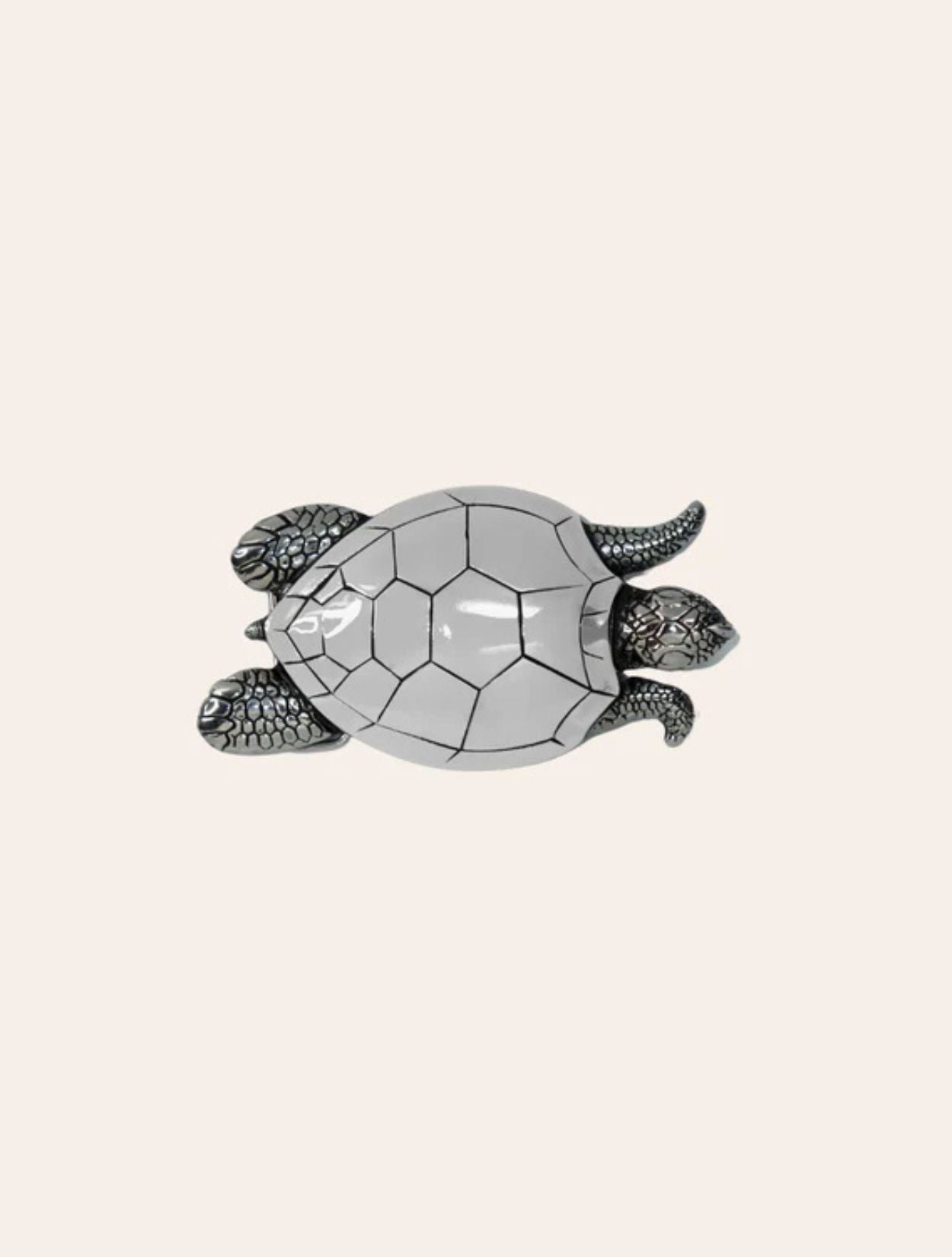 Hebilla de Tortuga | Accesorios Artesanales Colombianos x Belt Me x Casa Precis