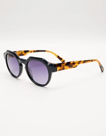 LENARD-BLACK-TORTOISE-1